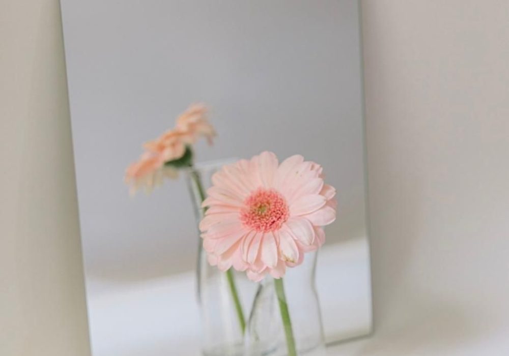 WhatsApp_Image_2025-06-11_at_4.42.33_PM_(1)